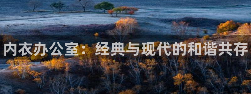 虚构推理风车动漫：内衣办公室：经典与现代的和谐共存