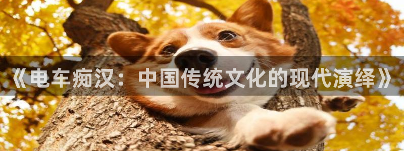 出包女王4季全集风车动漫：《电车痴汉：中国传统文化的现代演绎》