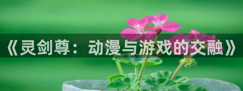 樱花风车动漫免费看：《灵剑尊：动漫与游戏的交融》