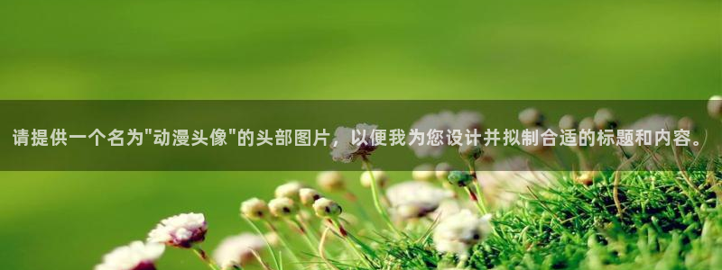 樱花风车动漫2024版：请提供一个名为\